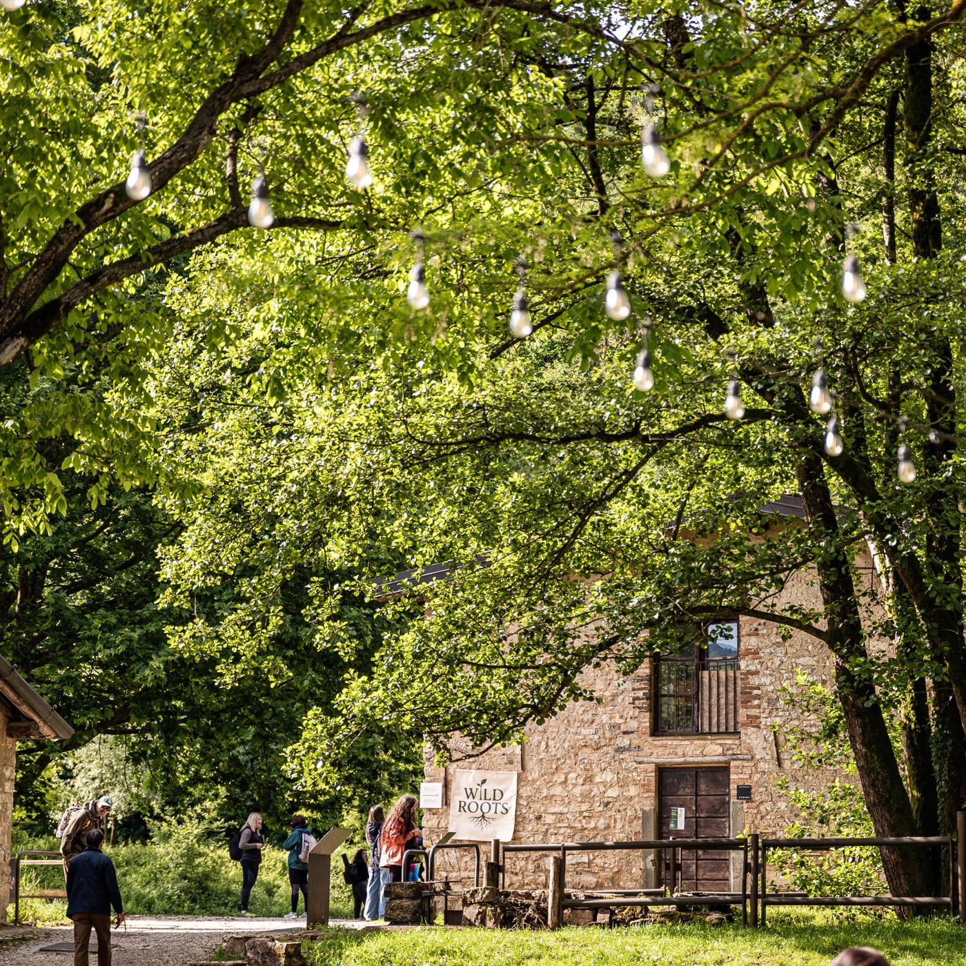 Il Borgo del Maglio con le luci tra gli alberi